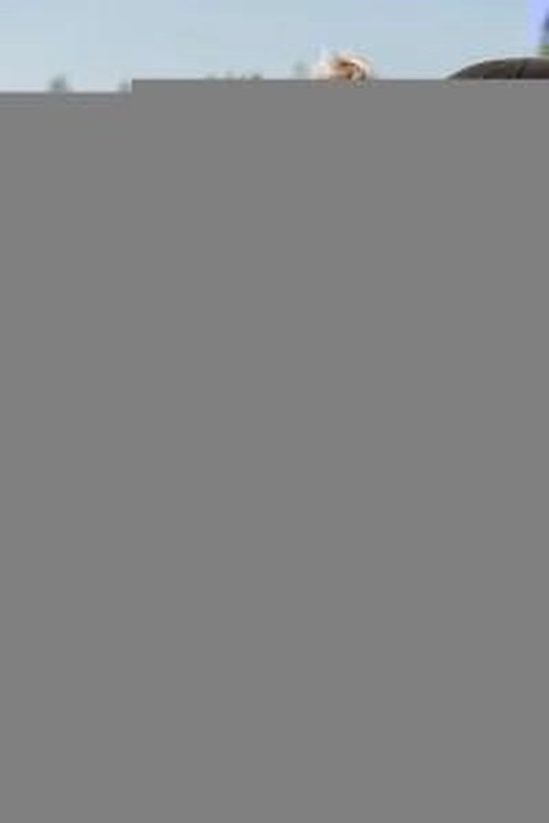 Baby's Only Voetenzak Buggy - Buggyzak Classic - Zand - Geschikt Voor 3-puntsgordel - Afbeelding 8